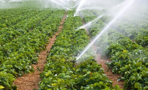 tarlada kullanılan yağmurlama sistemi