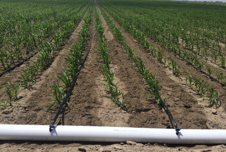 damla sulama sistemi ve boru