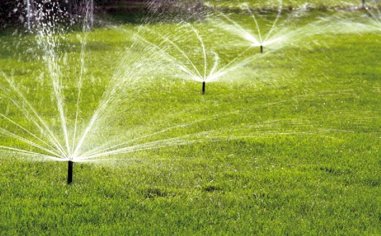  Peyzaj İçin Otomatik Sulama Sistemlerinin Önemi Nedir?